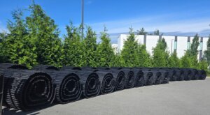 a group of excavator oem tracks outside Langley Excavator Parts